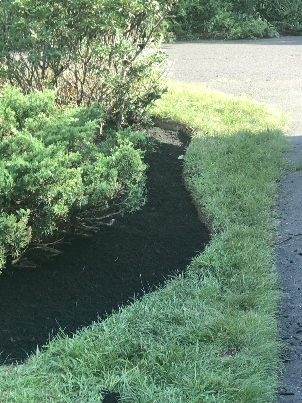 A long planting bed edged and topped with fresh dark mulch, curving between shrubs and a clean lawn line along the property edge.